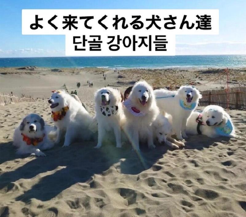 Plage Yuigahama Kamakura Kültér fotó