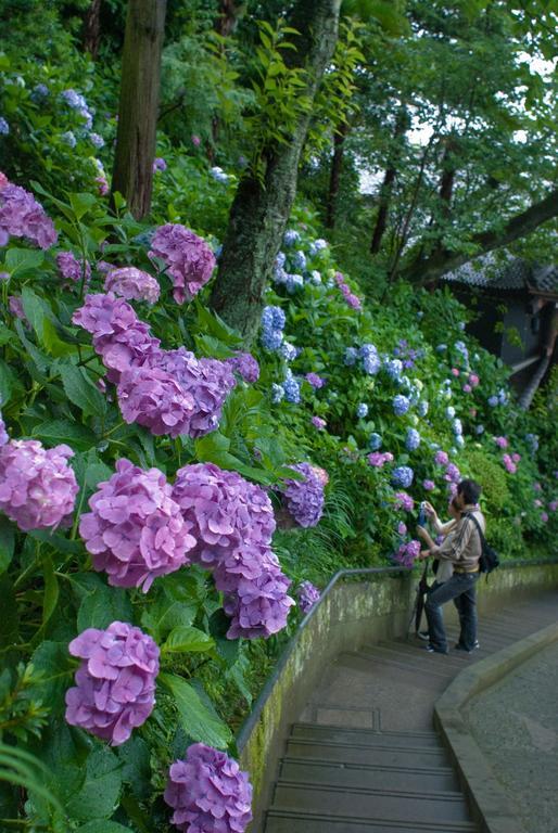 Plage Yuigahama Hotel Kamakura Kültér fotó